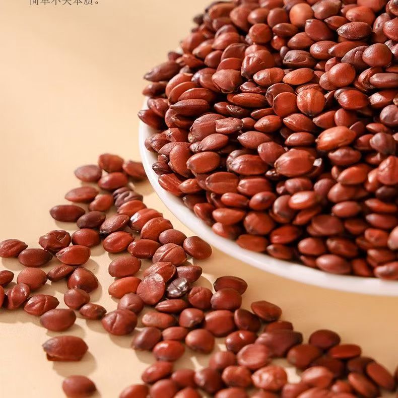 （枫堂小铺）酸枣仁 甘肃酸枣仁 生的未炒大山里采摘非种植