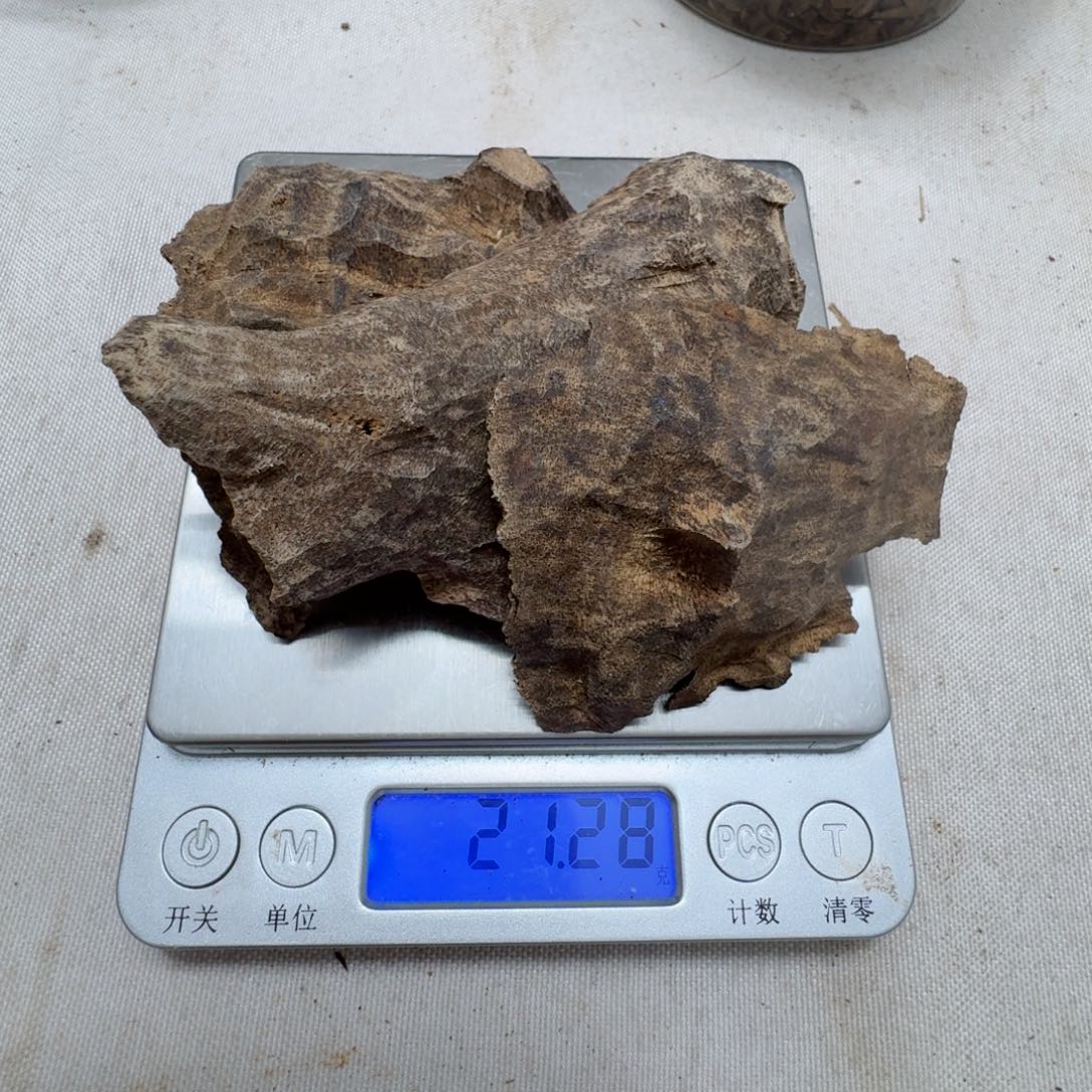 香榧木用****6海南天然野老壳子料21克