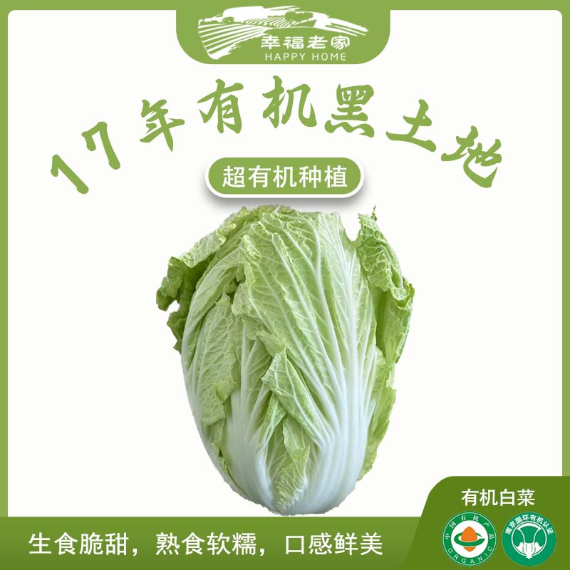 幸福老家百财祝福有机大白菜8斤 味道鲜美农场直发零农药零化肥