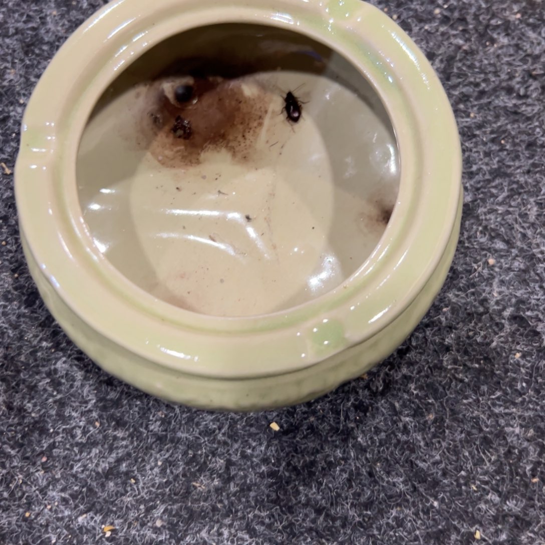 111111111111111111111111111