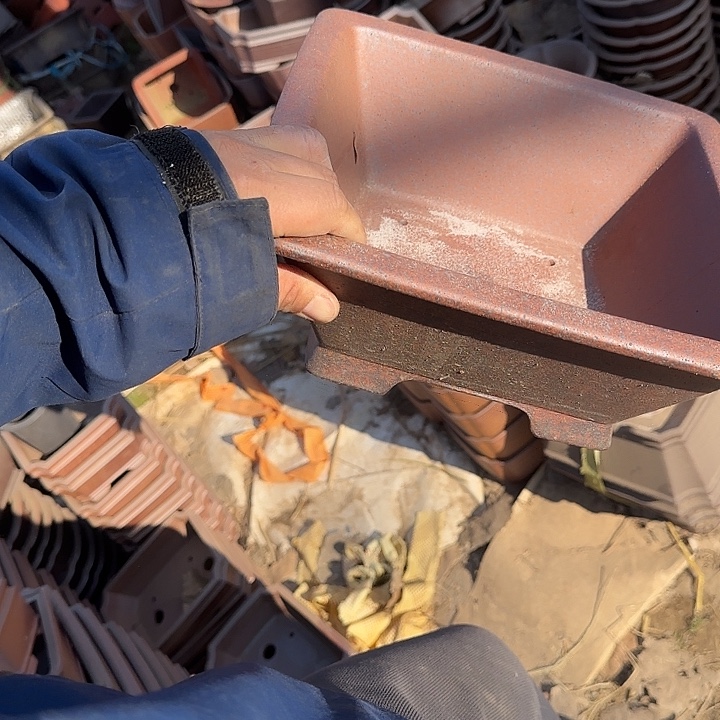 这一期太有意思咯太开心打酱油吧太棒