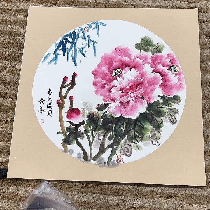 国画花鸟的翅膀和翅膀是50.50