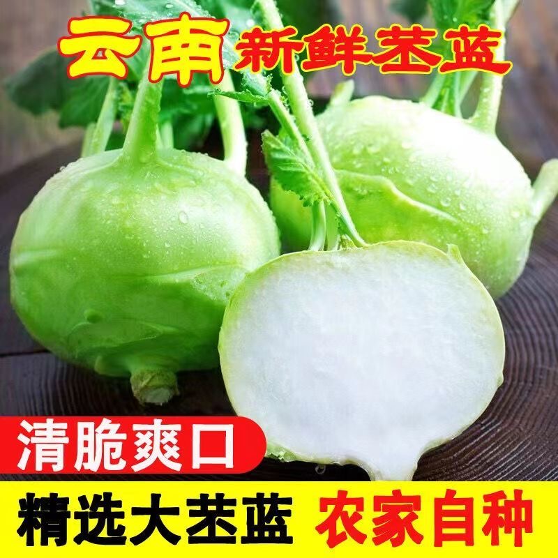 云南昆明新鲜蔬菜苤蓝水果大头菜疙瘩菜苤蓝泡菜农家自种现摘现发