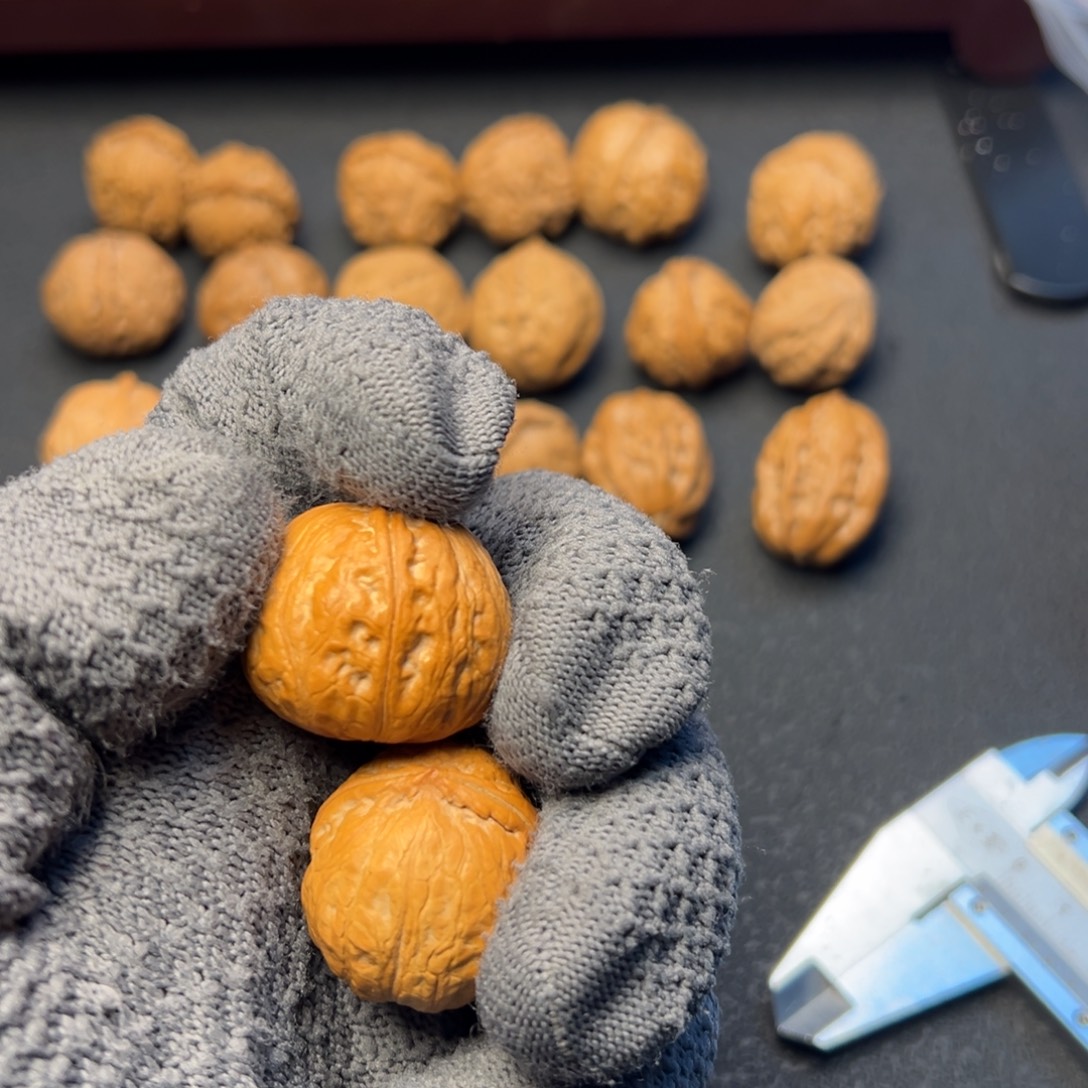 ****魔文玩核桃把件南瓜墩