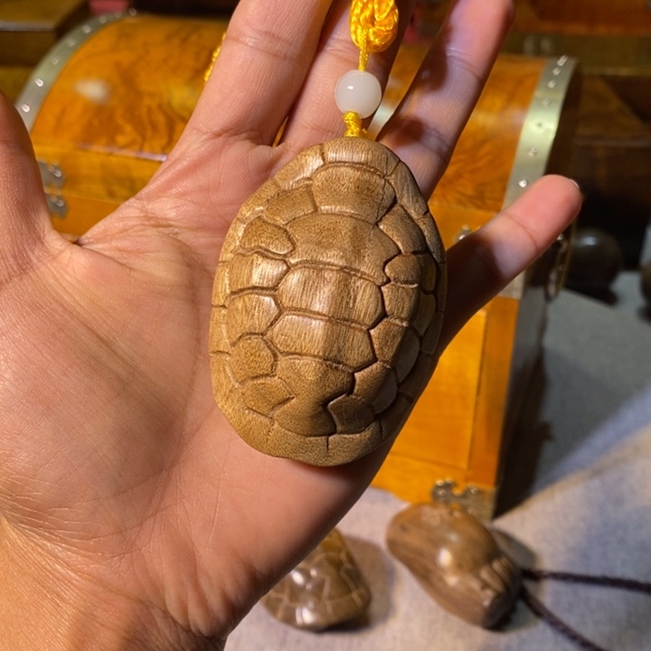 金丝楠金丝楠木小叶富甲天下