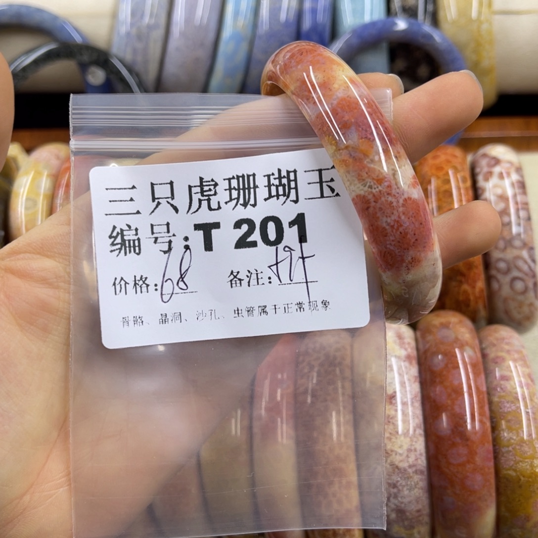 锅****硅化珊瑚（珊瑚玉）未镶嵌h