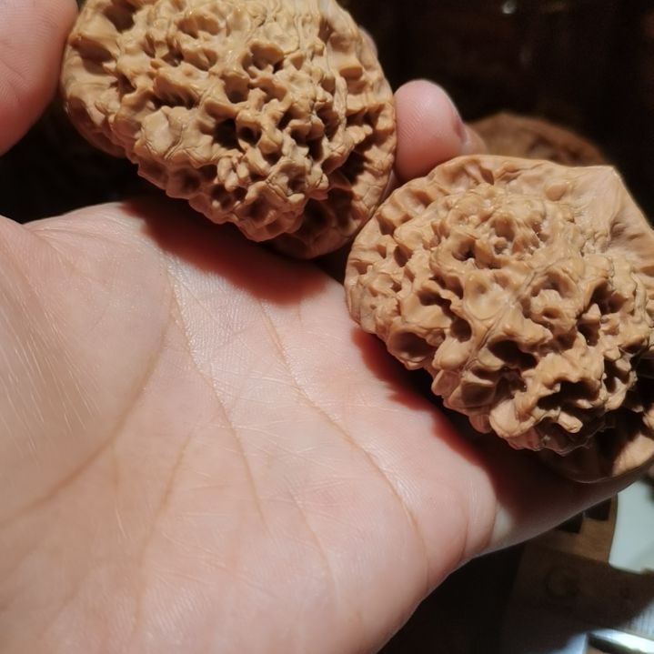 猴头核桃吊坠55龙鼎