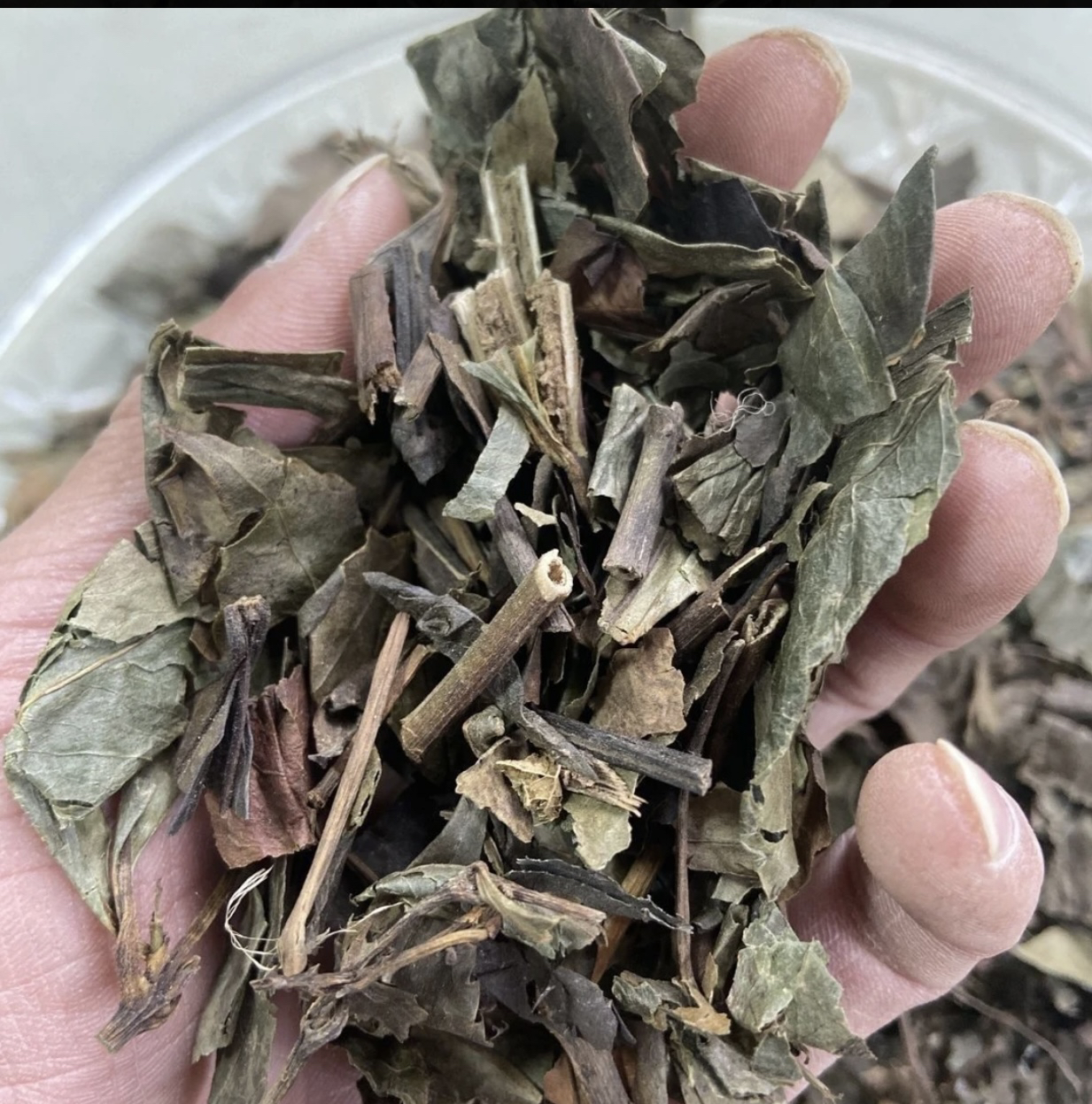 云南山货 （消～岩～大王）100克/250克/500克包邮