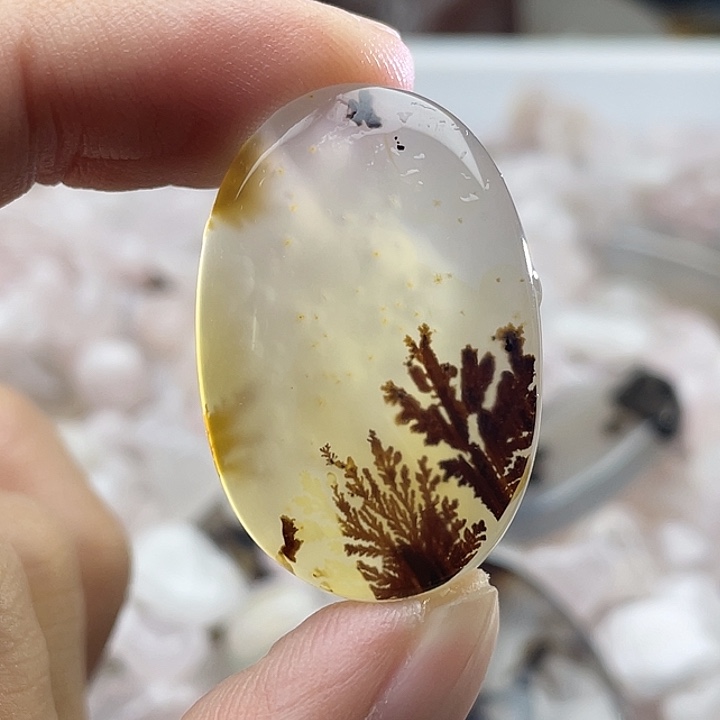 玛瑙/玉髓合金颈饰