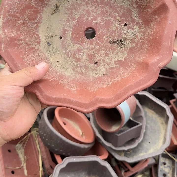 一定很有成就感我在想要是不用