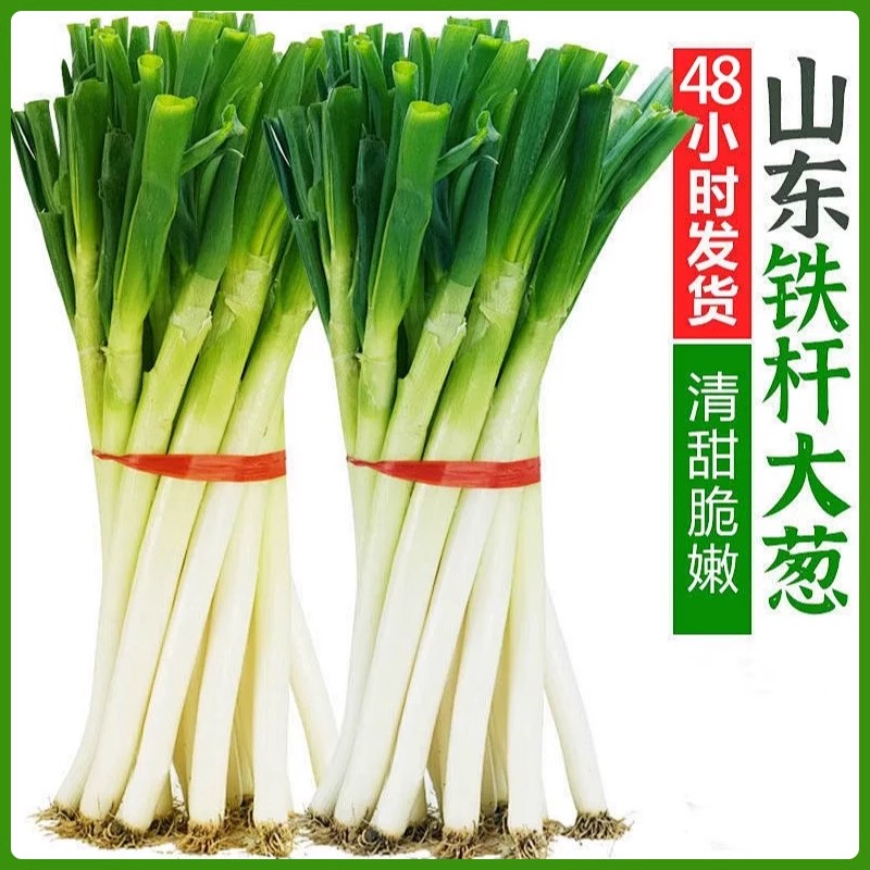 正宗新鲜铁杆大葱山东甜脆农家现挖葱白带老皮叶毛葱特产甜葱微辣