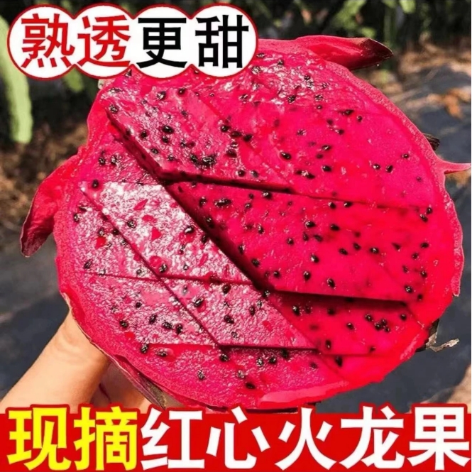 【助农福利】云南金都一号红心火龙果新鲜现摘净重3斤装单果200g起