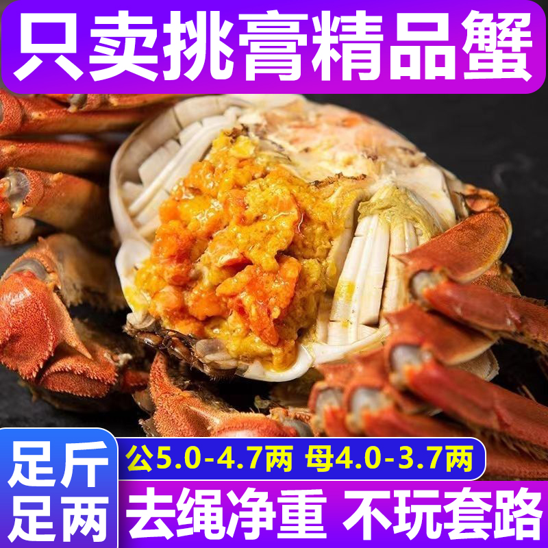 【活蟹】江苏精品大闸蟹公5.0-4.7两 母4.0-3.7两6-10只 螃蟹鲜活DB