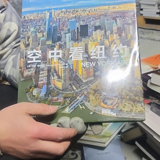 空中看纽约精装塑封库存书全新