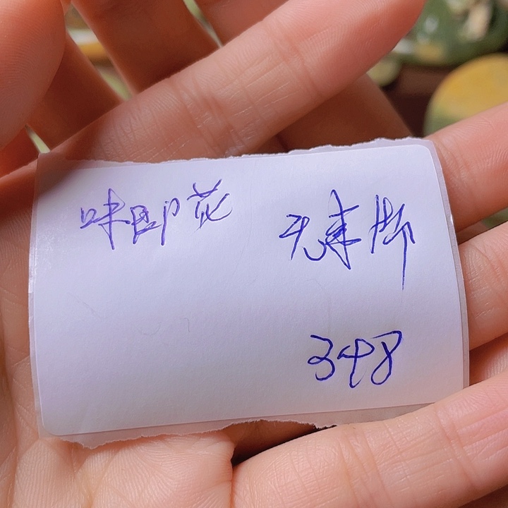 未镶嵌岫岩河磨玉（透闪石质玉）挂件味****条