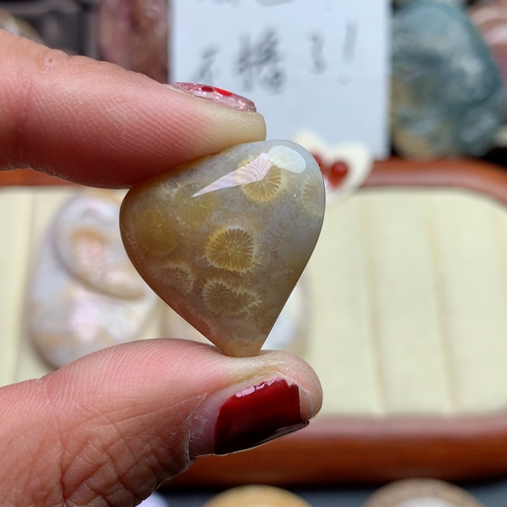 硅化珊瑚（珊瑚玉）颈饰未镶嵌