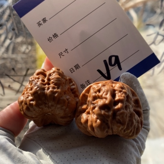 用***在文玩核桃吊坠40蛤蟆头