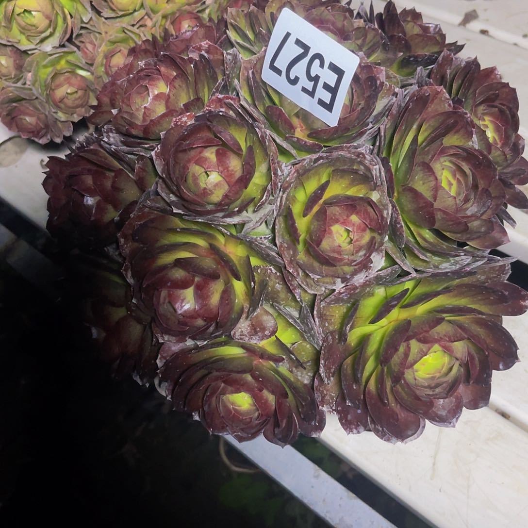 黑魔法师3–23包邮法师