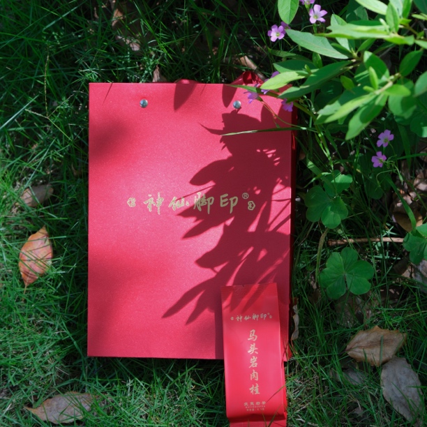 【开山坪肉桂】马头岩开山坪纯料肉桂一盒6泡大红袍茶叶