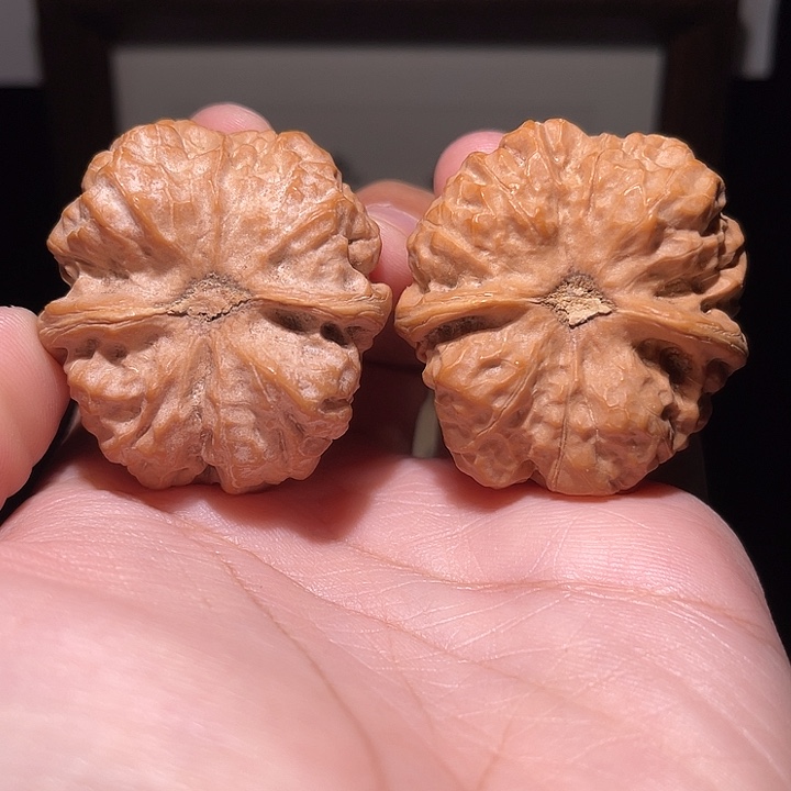 破***堂核桃把件蛤蟆头  