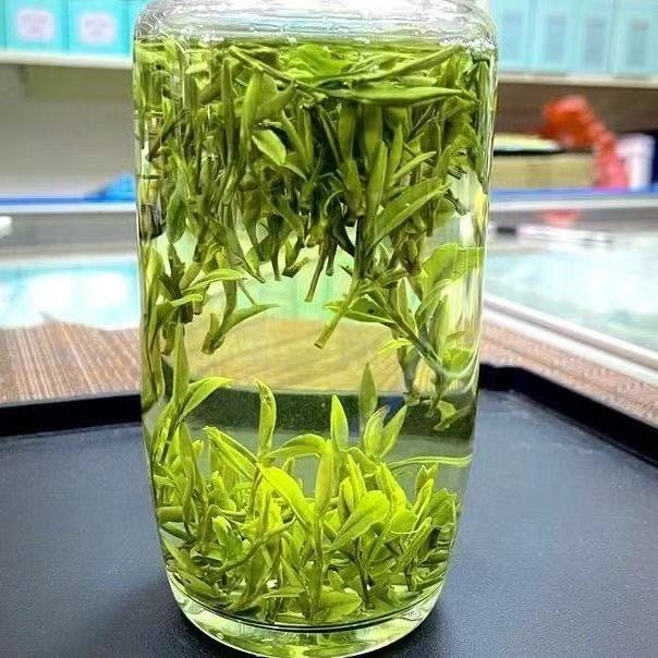 原产地茶小兰花绿茶今年新茶2025年新茶