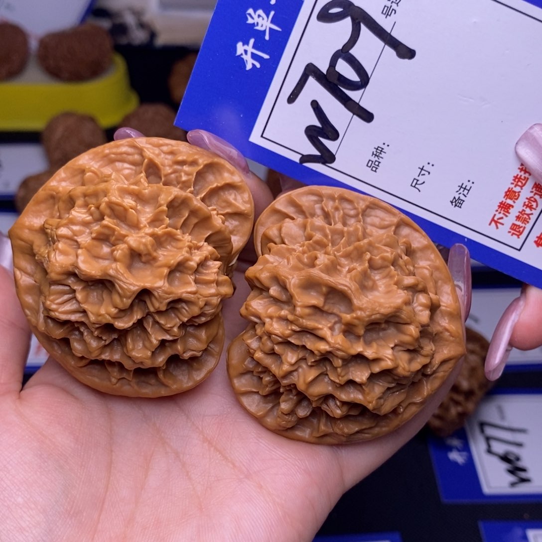 W709链接 帝王53尺 000