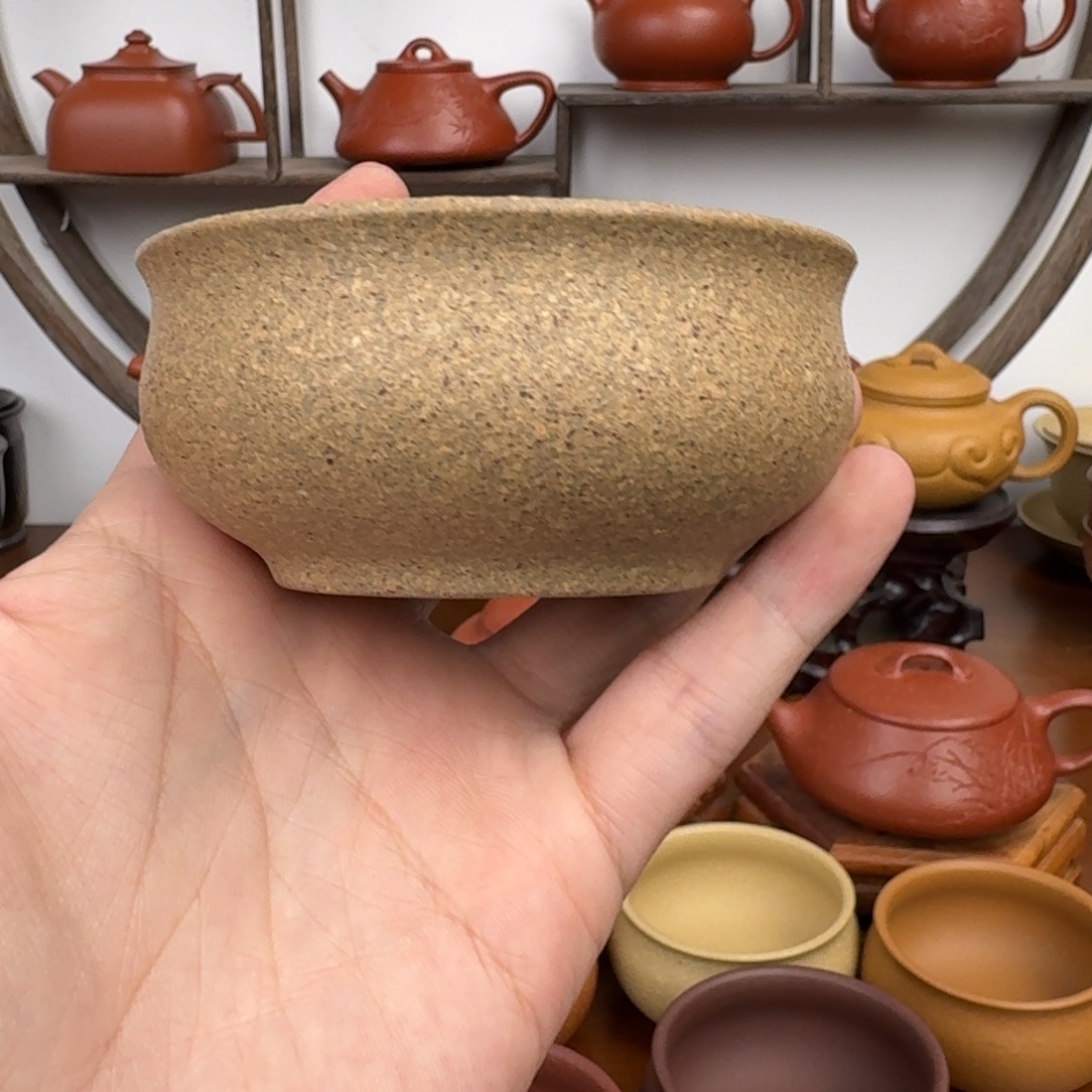 紫砂茶杯6555556555655465