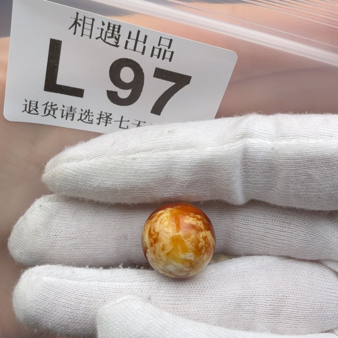 未镶嵌琥珀裸石贝****