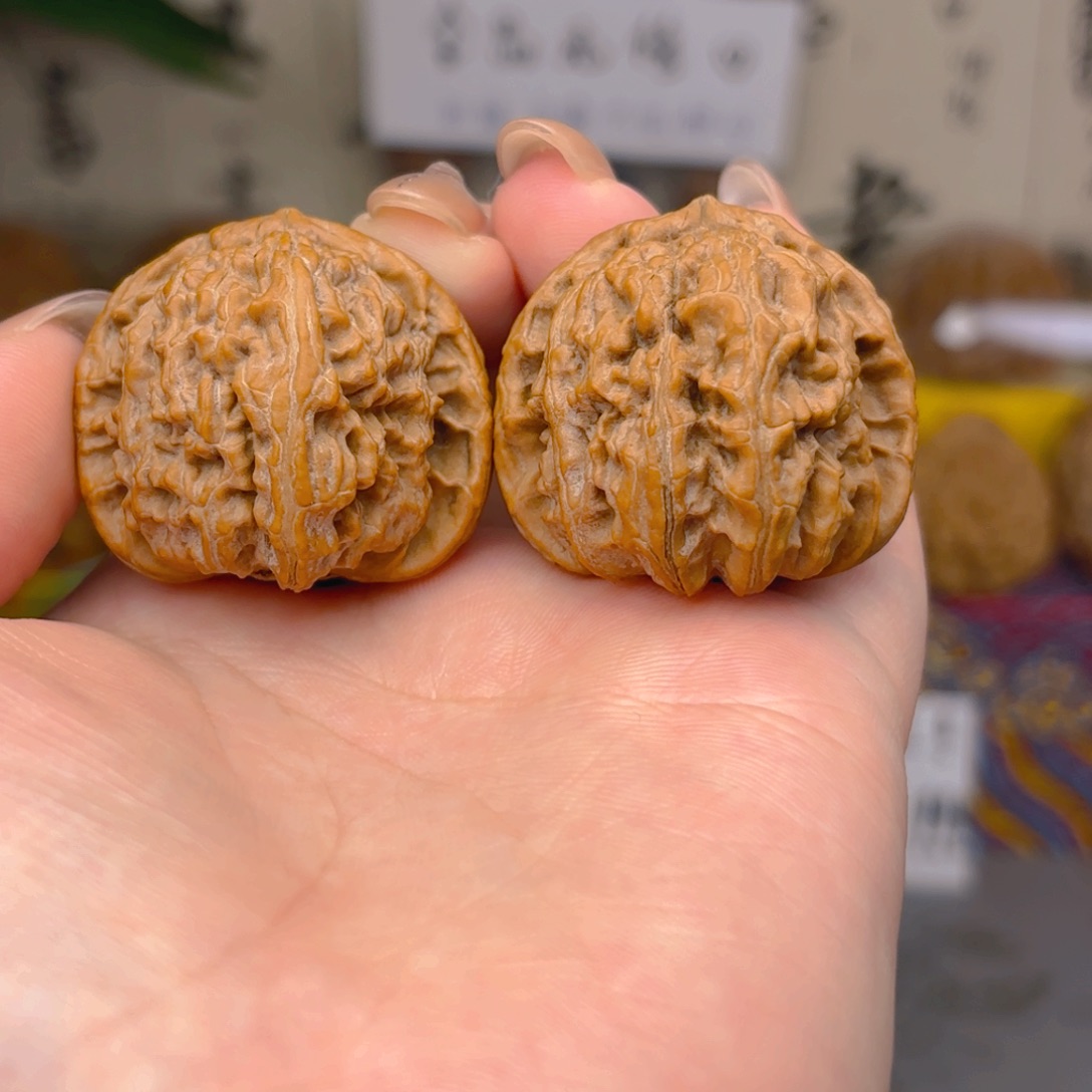 白狮子头三十五尺