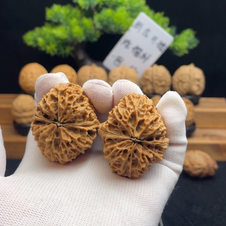 文玩核桃把件云南铁核桃7-13