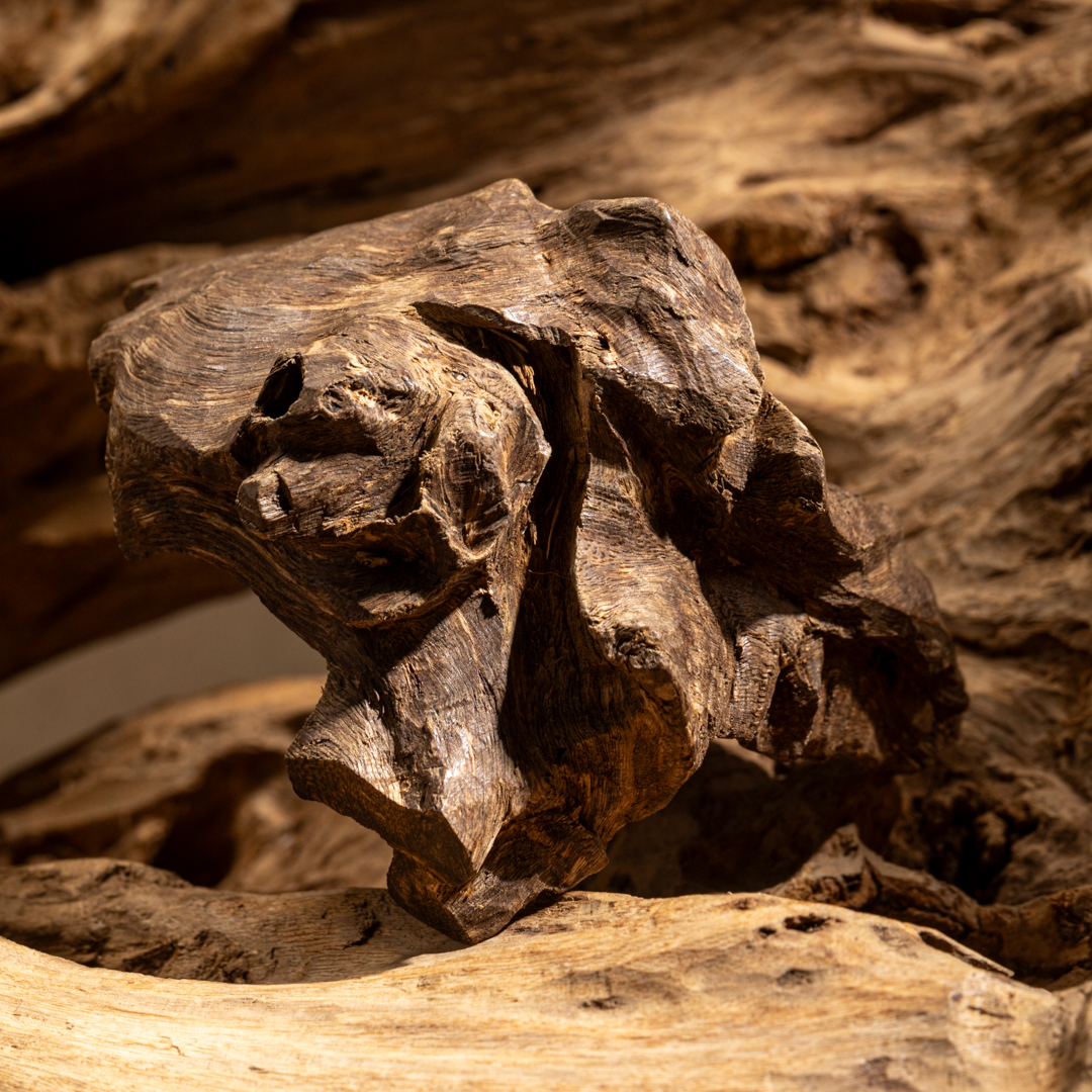 【典藏尖货】菲律宾莱特岛包头纽结沉水沉香收藏老料 关注播播间 