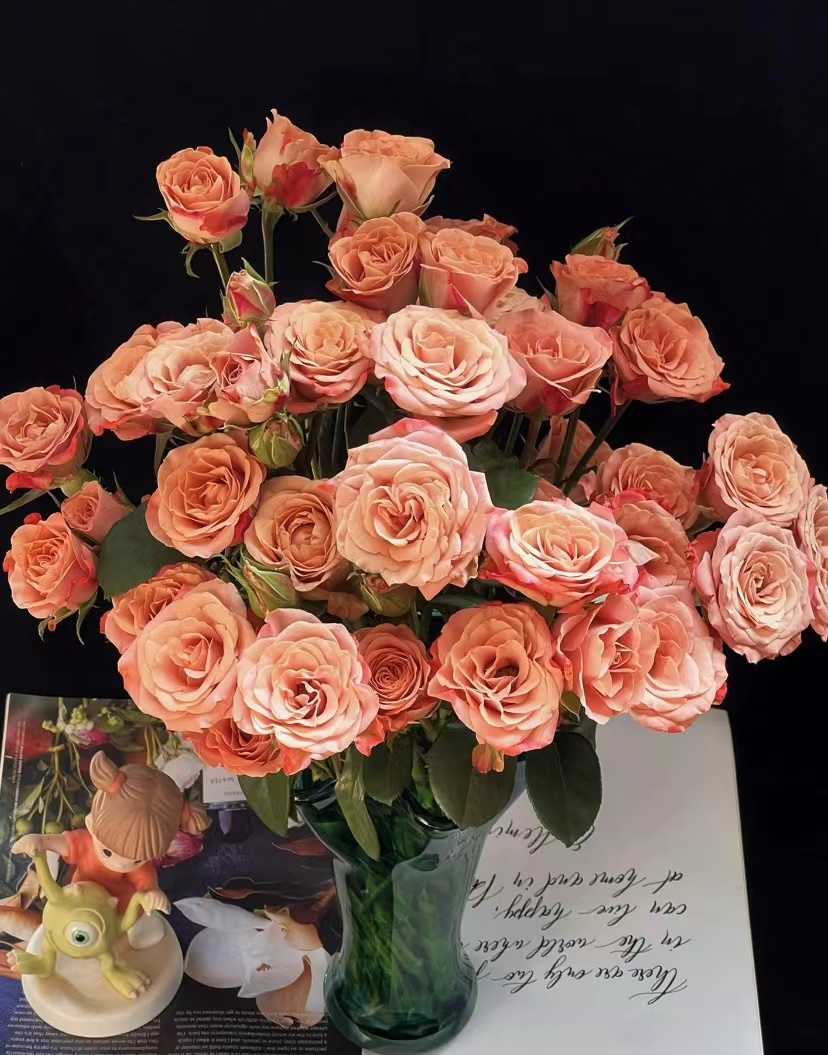 鲜花【多头卡布】同地址两单以上顺丰包邮送货上门+送配草1扎