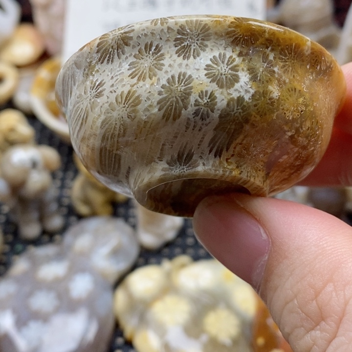 硅化珊瑚（珊瑚玉）颈饰未镶嵌