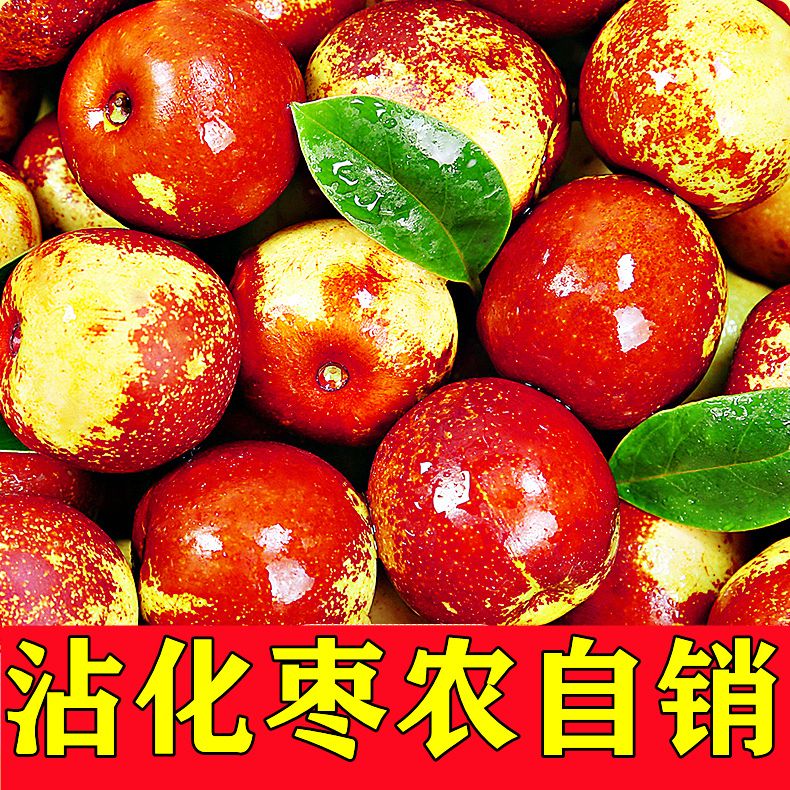 山东沾化冰糖冬枣新鲜现摘应季水果皮薄脆甜