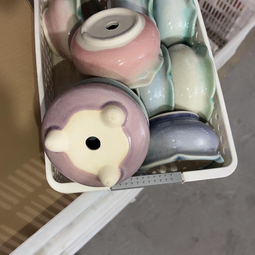 量货/口8高深浅搭配发10