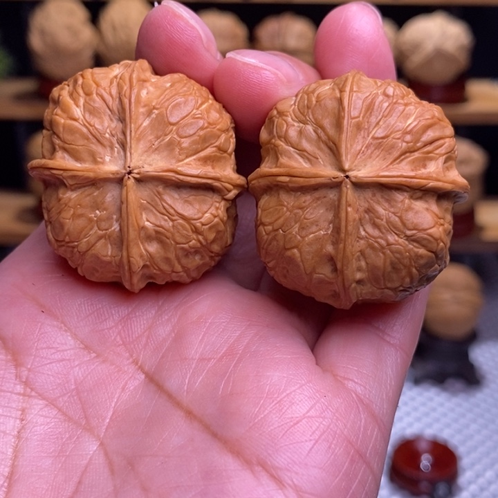 骑***阳木质类云铁柿饼四棱尖微磕118号