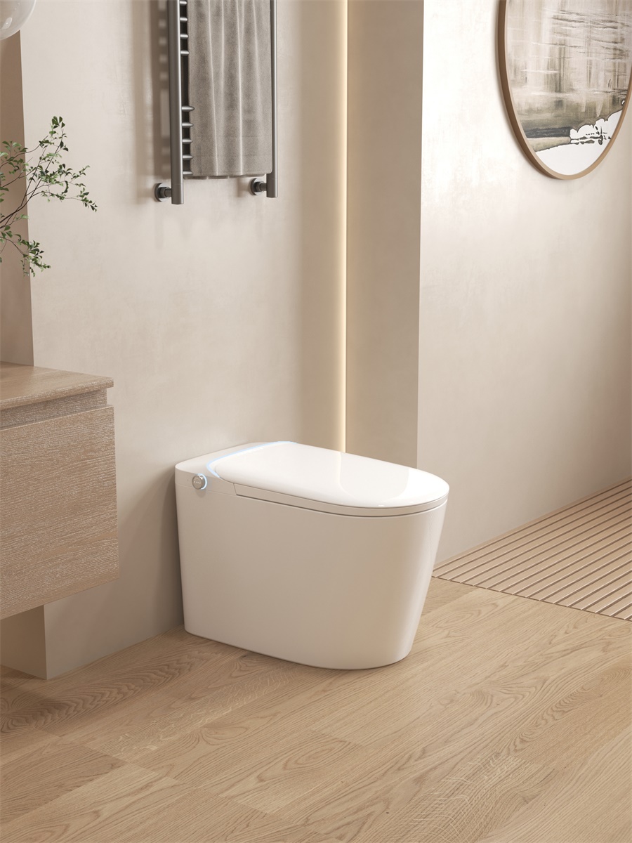 即热式全自动翻盖一体大座圈智能马桶匹配简配智能马桶共计2台