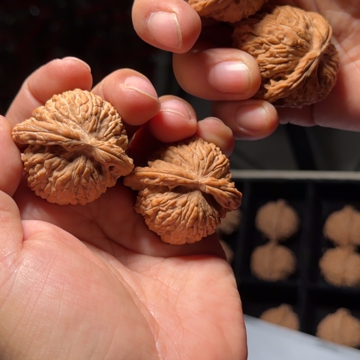 文玩核桃把件528号全品白狮子40-42mm