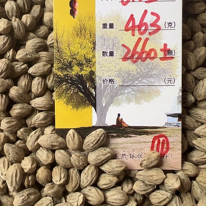 守***持柏香籽/百香籽吊坠朵娅精品柏香11号籽