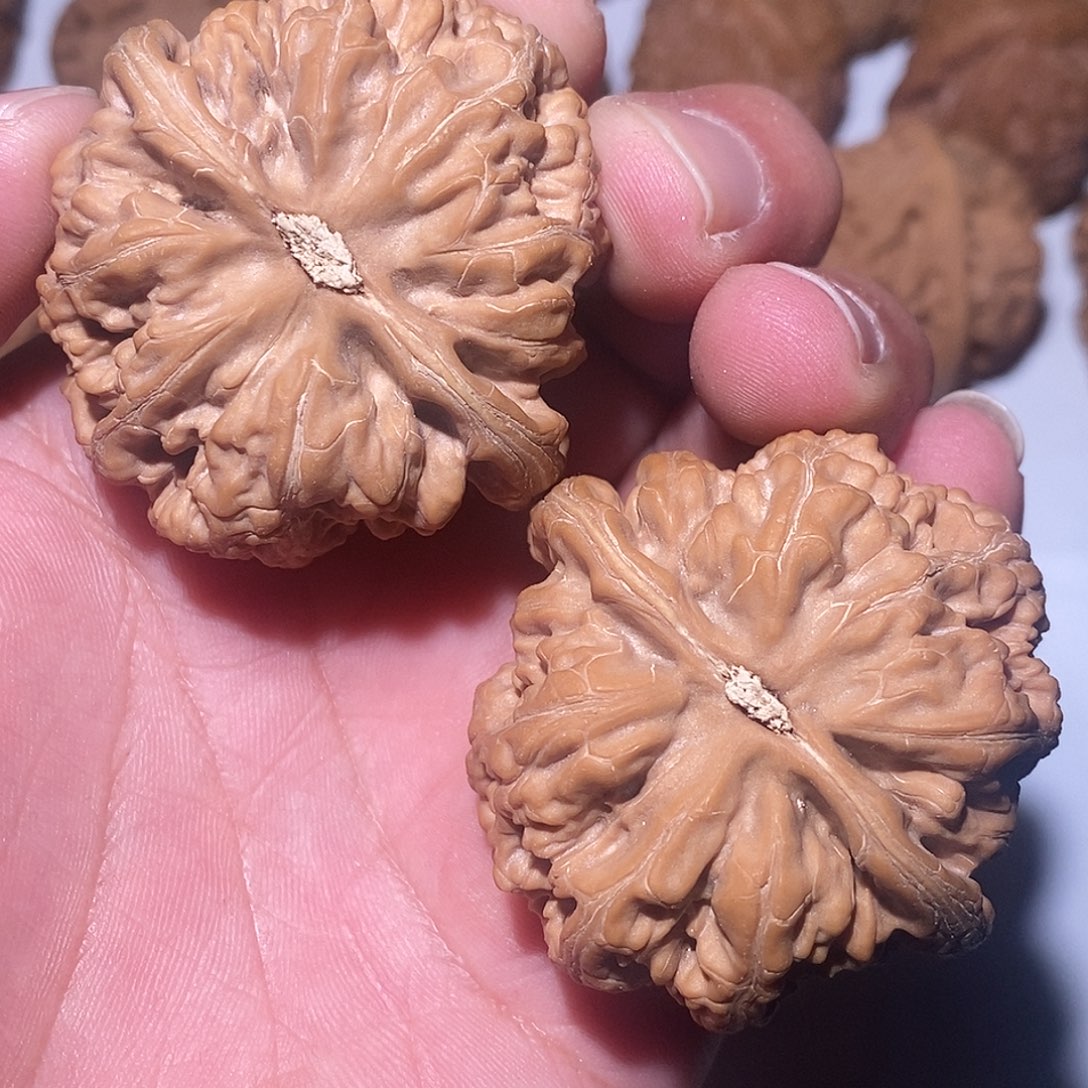 把件文玩核桃别****！大粗筋