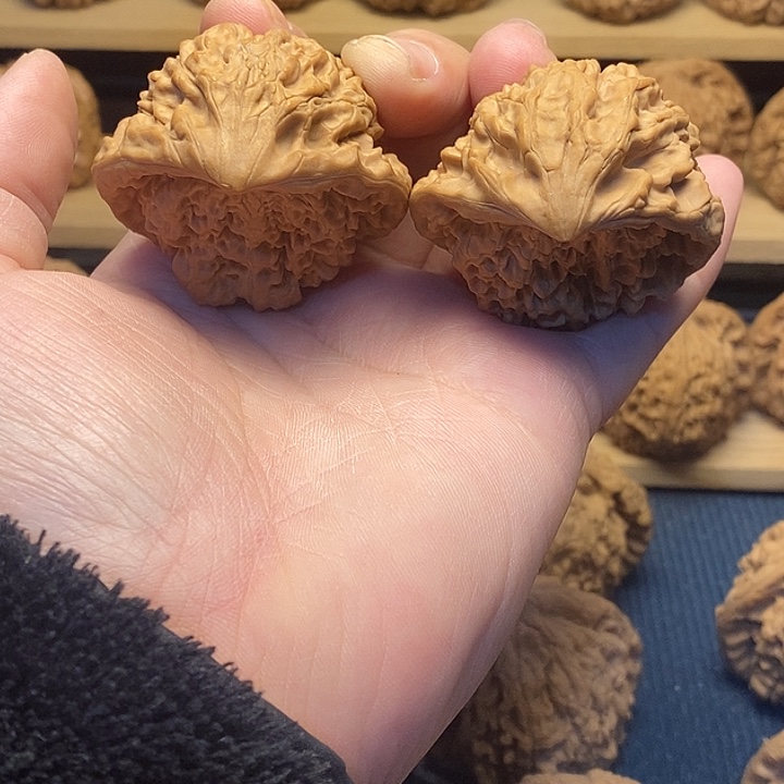 核桃47蛇头福利核桃