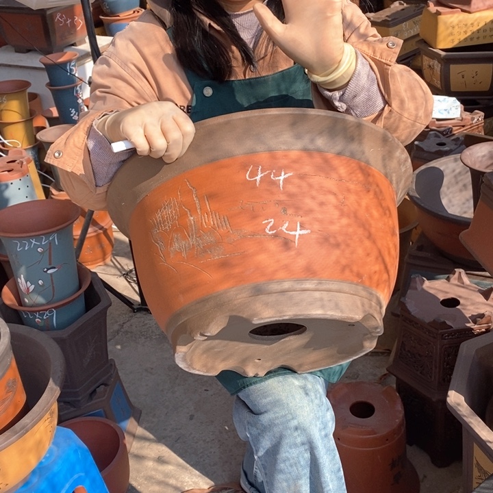 紫砂花盆盆栽花卉苗木种植