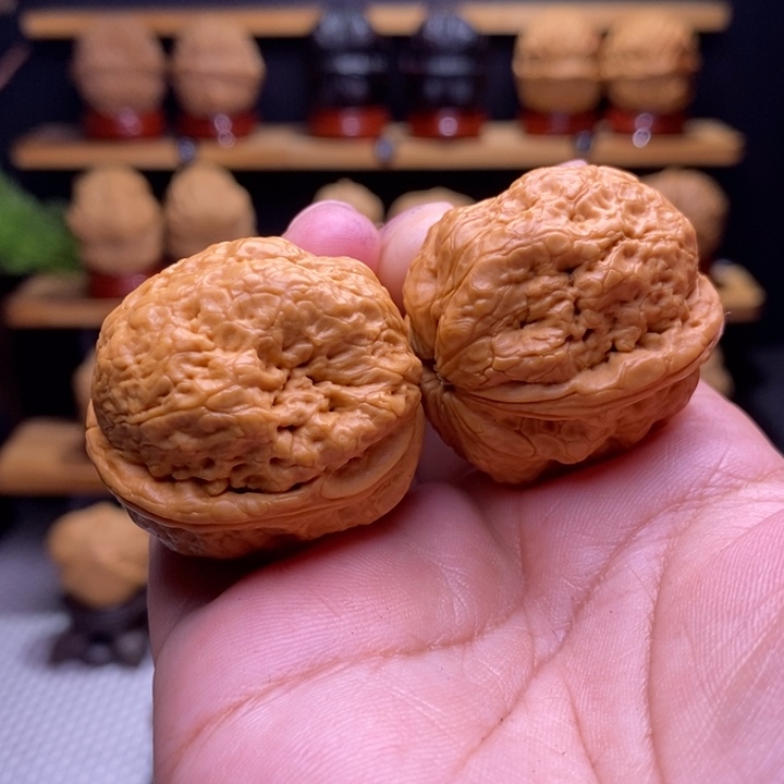 木质类云铁帝王蟾28号