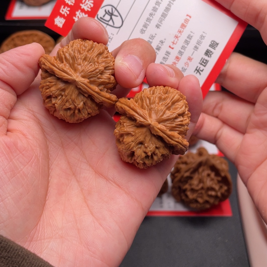 文玩核桃把件白狮子35➕