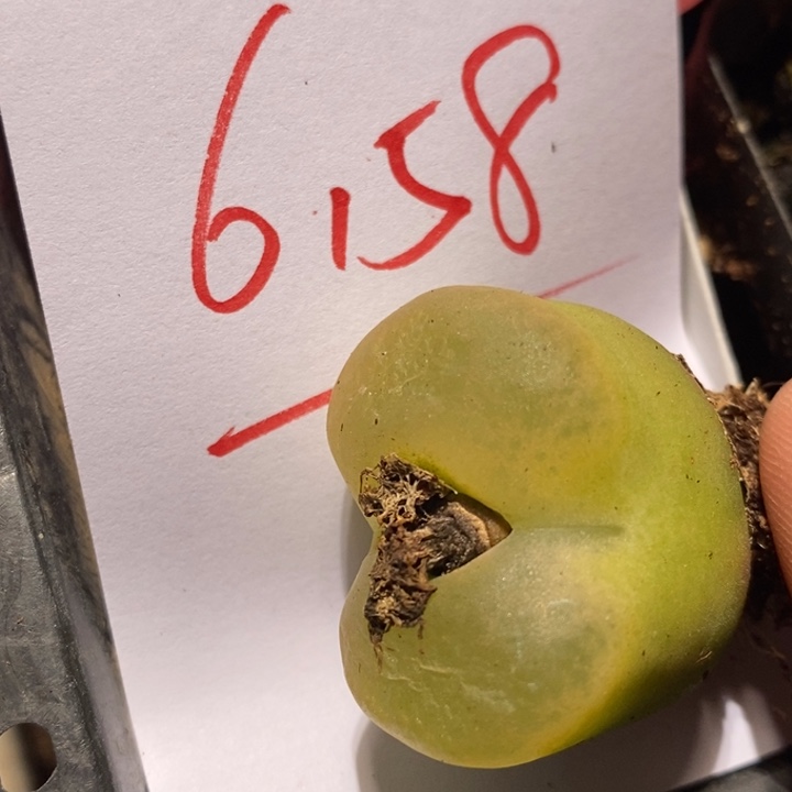 6158一个一个一个