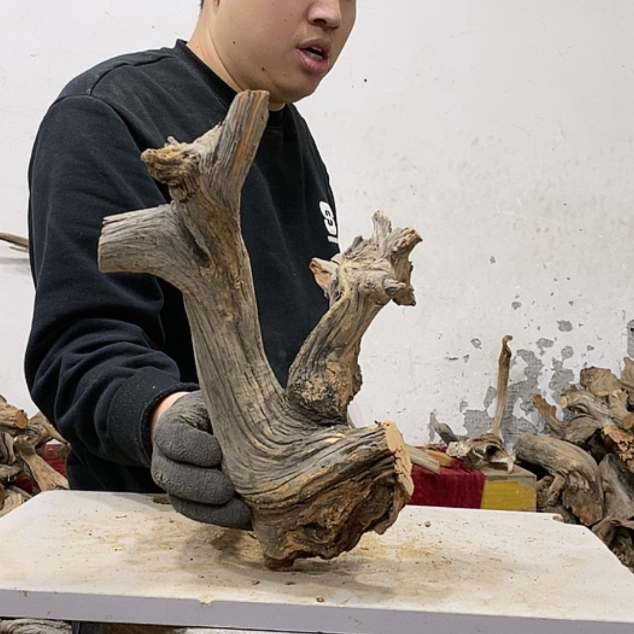 【闪购商品】柏木抖**爸我们都是好孩子