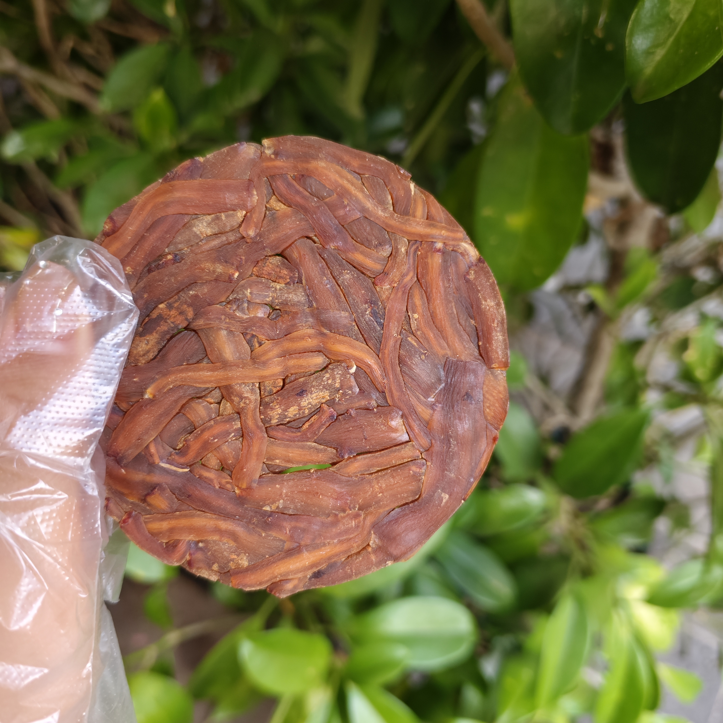 A【百-年-贡-参】净含量50g-500g【阿虎现收】菌