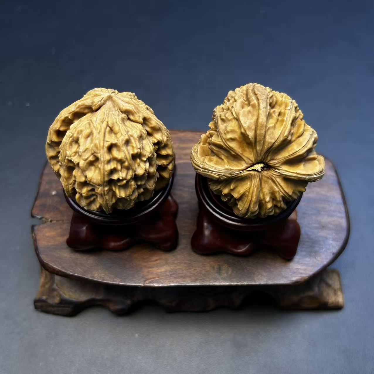 白茬白狮子核桃--221