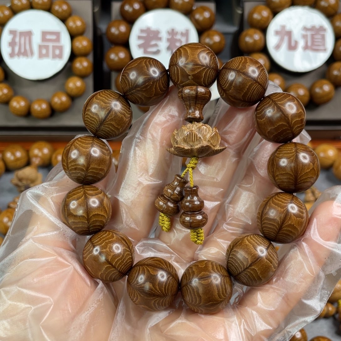 六道木枯树， 毕业1.8