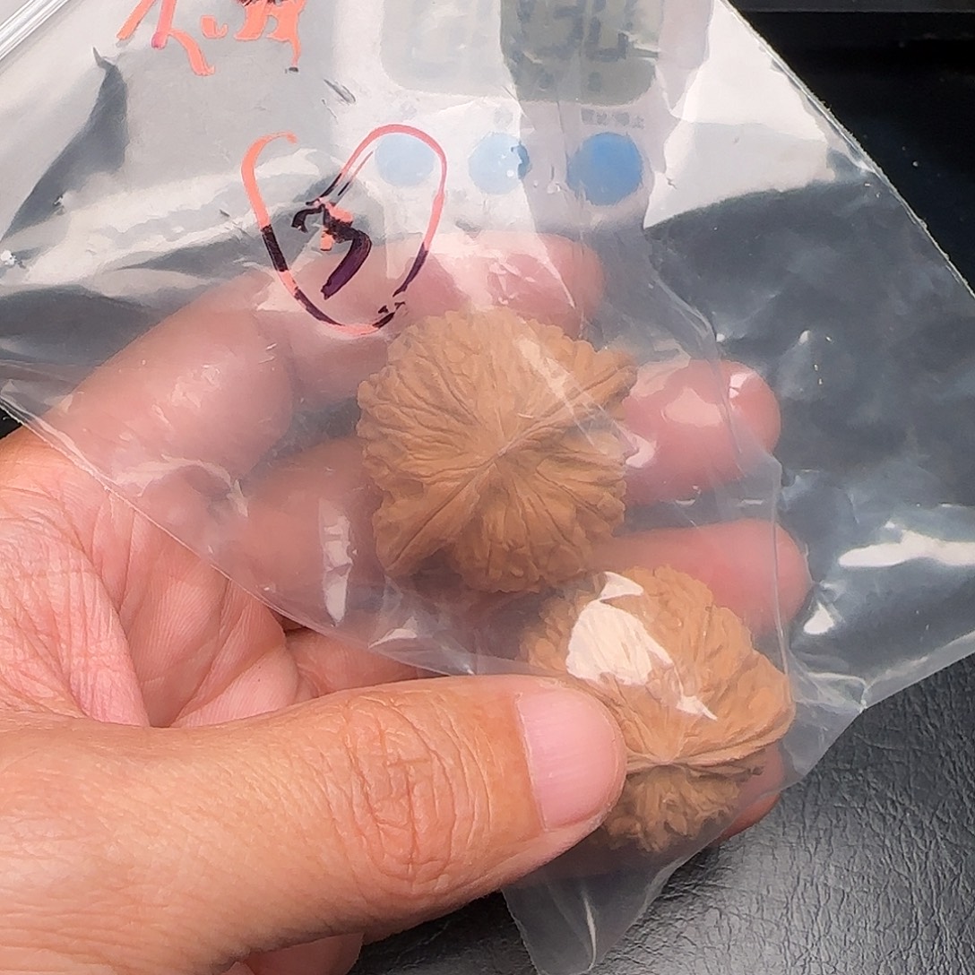 多***菜吊坠文玩核桃核桃